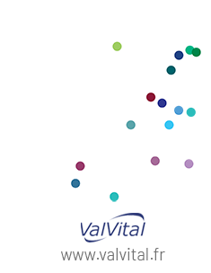 Carte Valvital